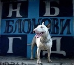 Корисников грб